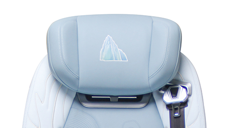 09804 - 5 car seat (1).jpg